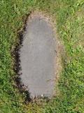 image of grave number 774402
